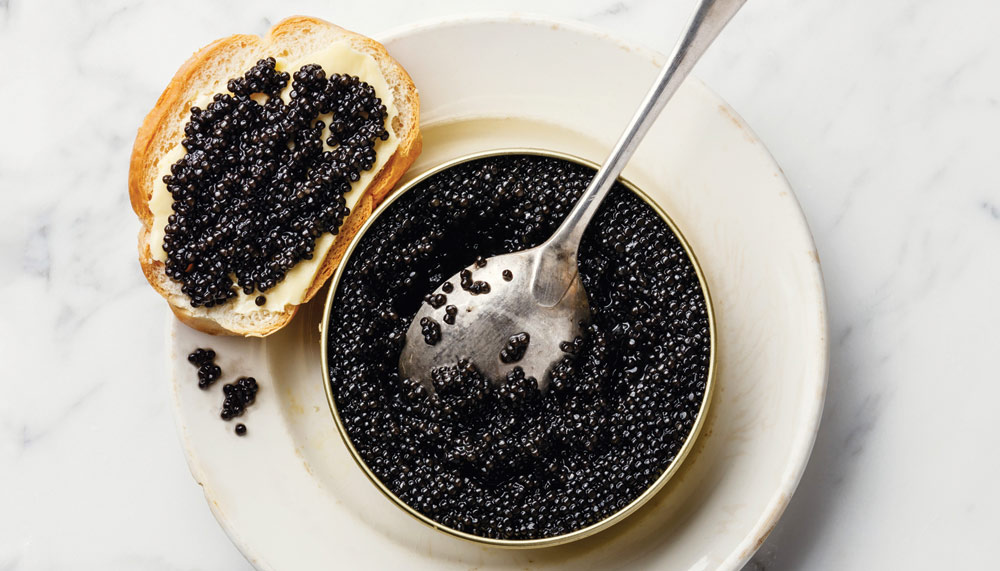 Sturgeon caviar, farmed caviar