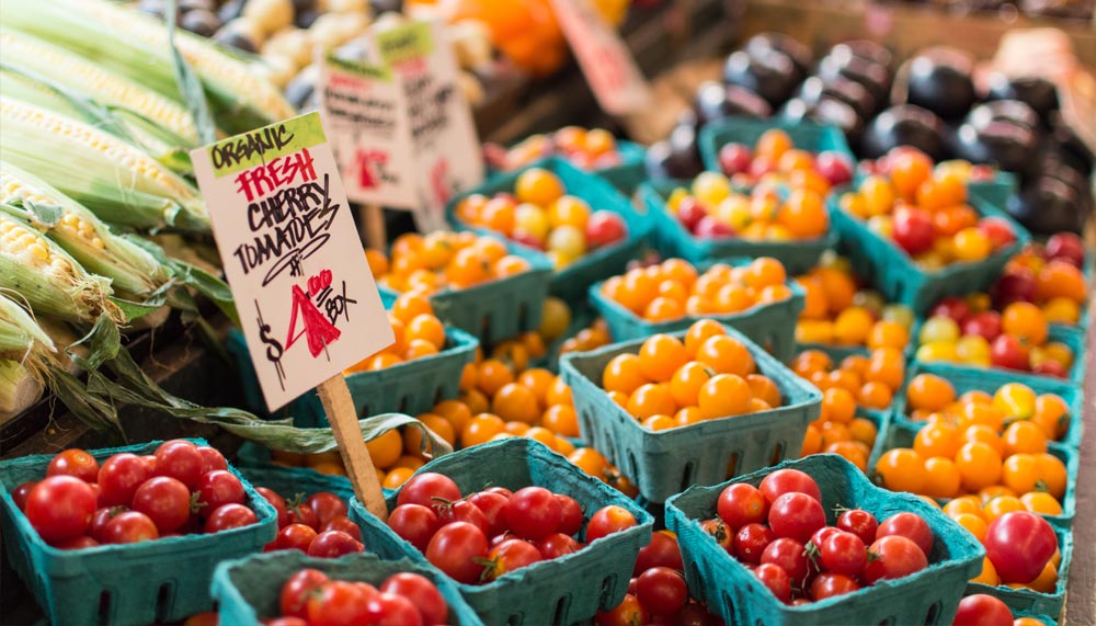 Matakana Farmers' Market, New Zealand