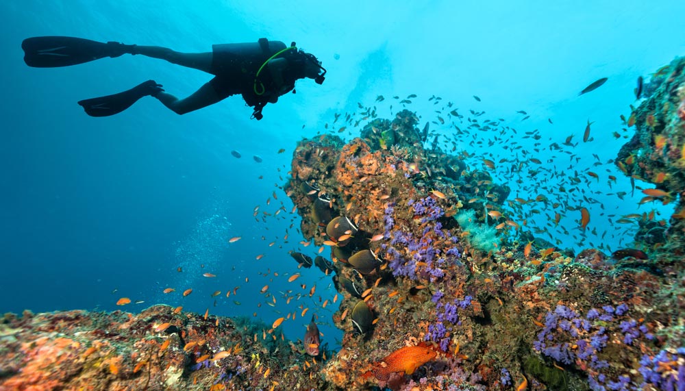 Five adventures every adrenaline junkie should embark on in Komodo ...