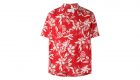 Camp Collar shirts