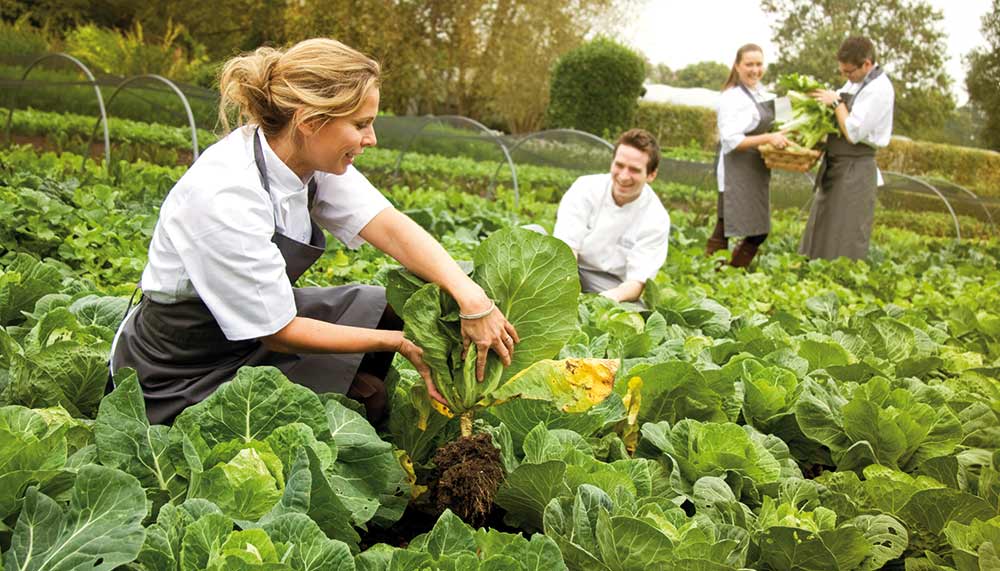 Edible herb garden, The Raymond Blanc Gardening School, Belmond hotel