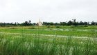 Paddy fields in Myanmar