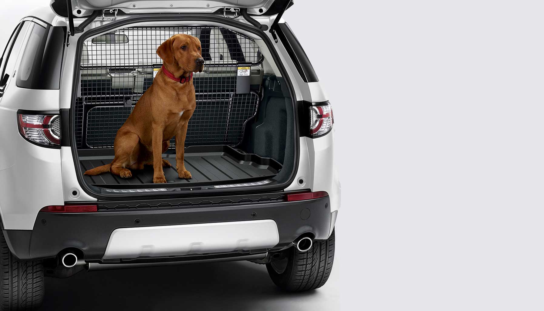 Land Rover, Dog Accessories
