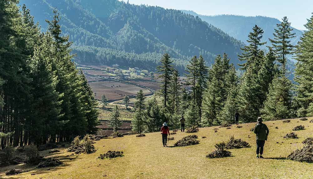 Amala Destinationsm Bhutan, Phobjikha