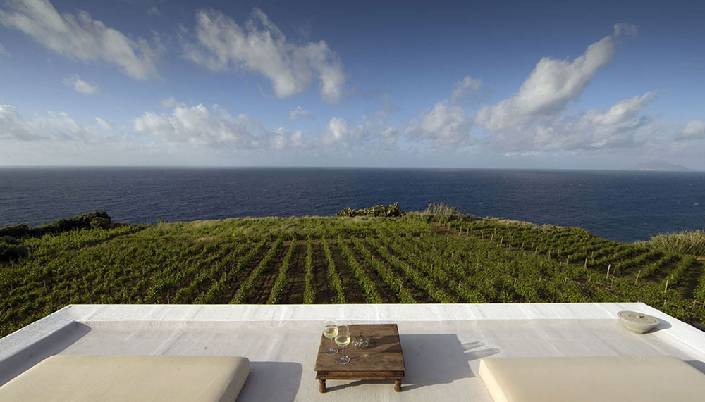 Capofaro, Vineyards in Italy