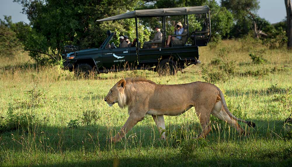 andBeyond safaris, Africa