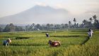 Luxury babymoon getaways near Singapore - Soori Bali