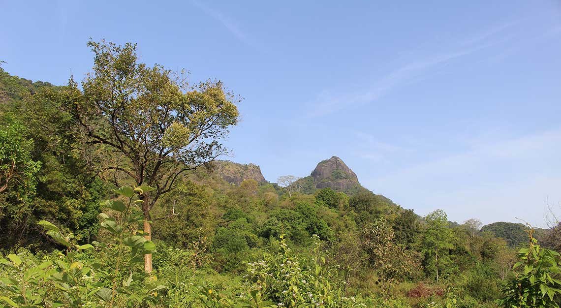 Gal Oya National Park, Gal Oya lodge, Sri Lanka