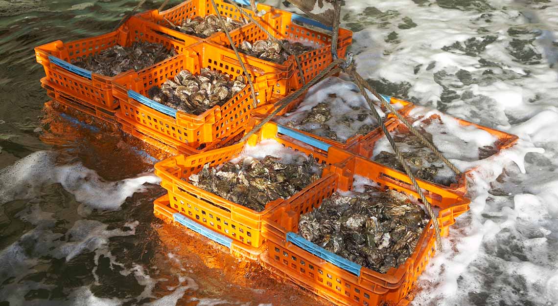 JustIN at Marina Bay Sands, Cadoret Oysters