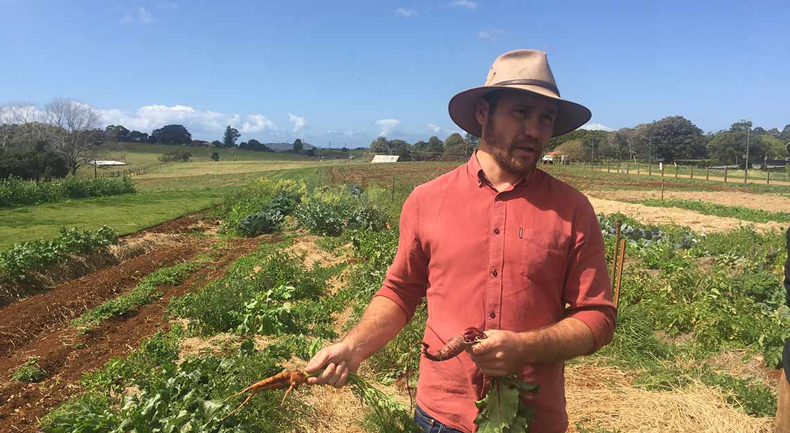 The Farm Byron Bay, Brisbane