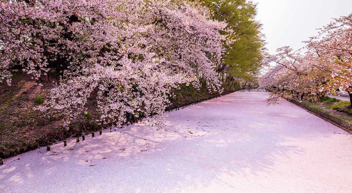 Hirosaki Castle Park