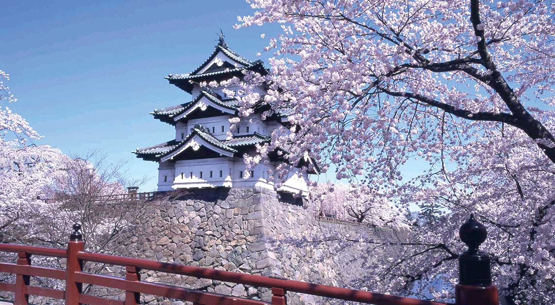 admirer l'éclosion des cerisiers au château de Hirosaki