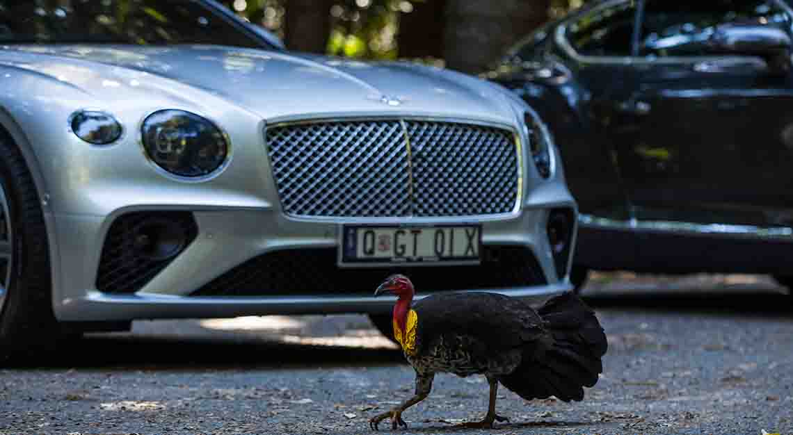 Bentley Continental GT