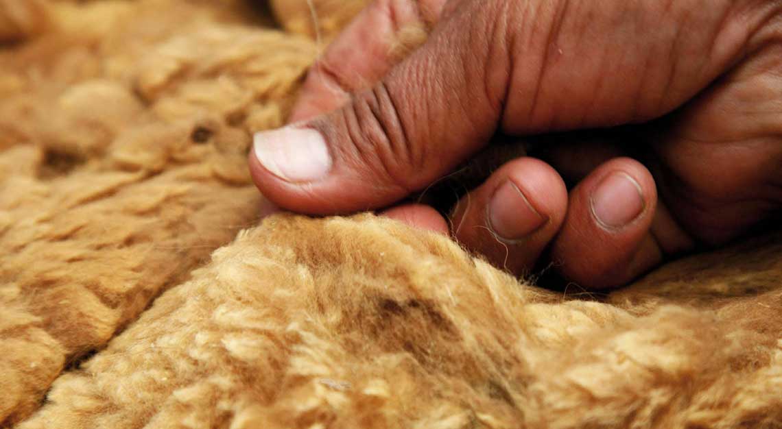 Rare, luxurious fabrics Create your next bespoke suit, shawl or jacket