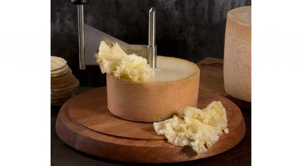 Where to buy cheese in Singapore - The Cheese Shop