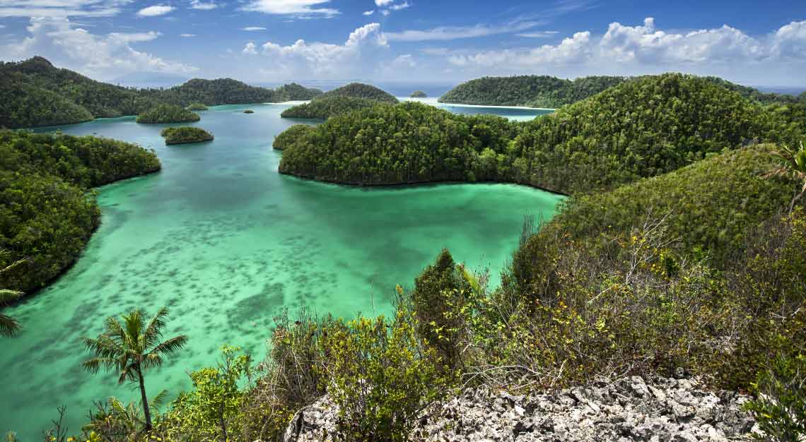 Luxury Cruise Charters - Raja Ampat