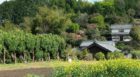 Walk Japan's Kunisaki Tours