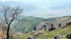 Walk Japan's Kunisaki Tours