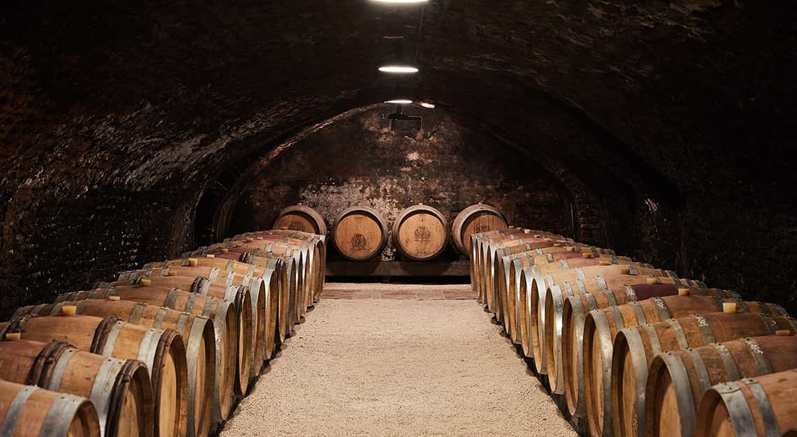 Chateau du Pommard Cellar, Michael Baum