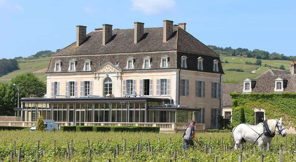 Chateau du Pommard, Michael Baum