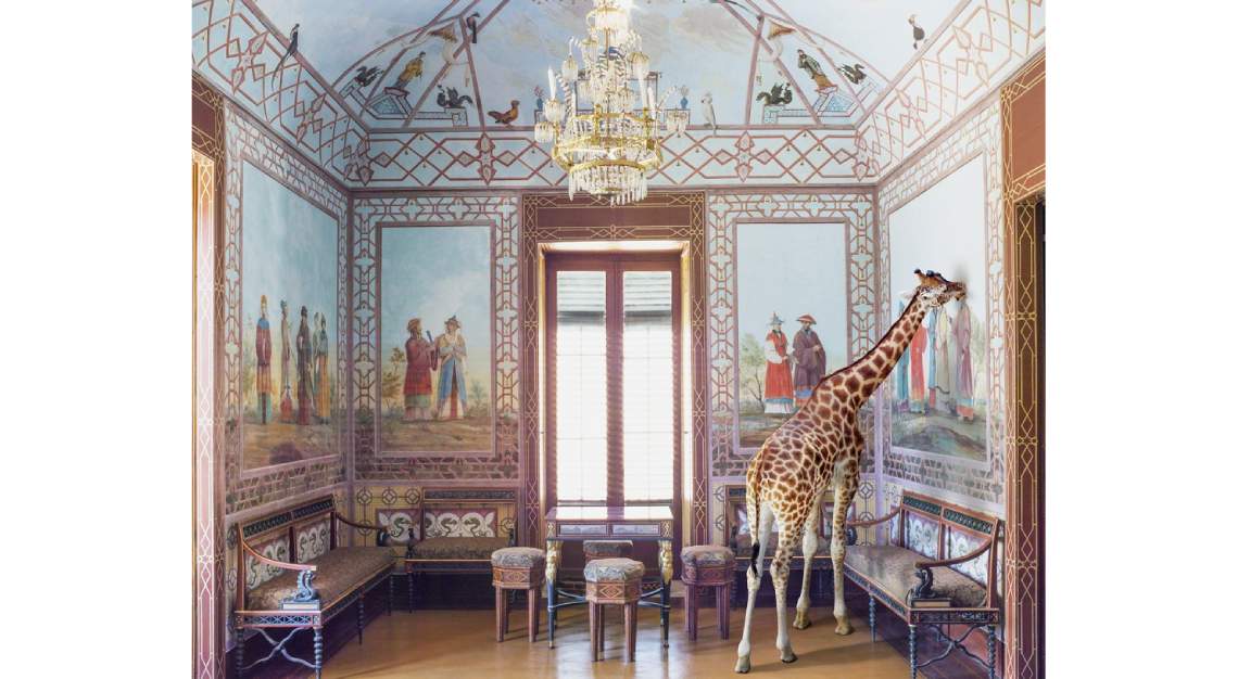 karen knorr