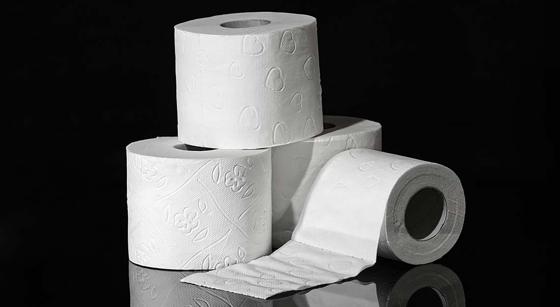 louis vuitton toilet paper price