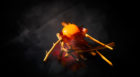 Gaggan Anand