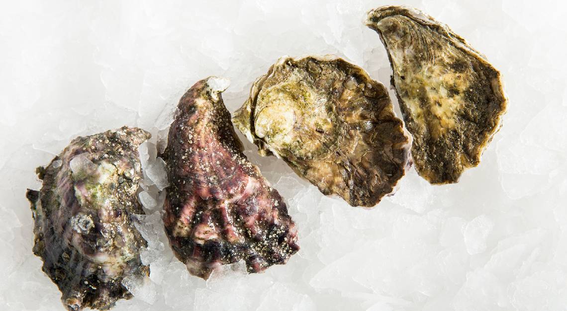 oyster sommelier