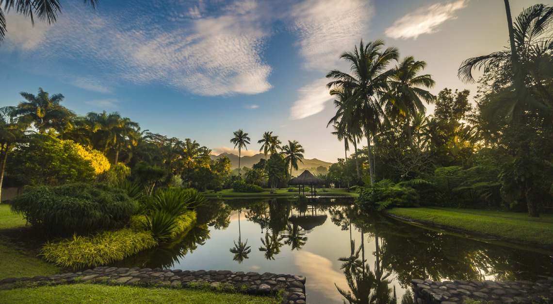 a big lagoon at the farm, san benito