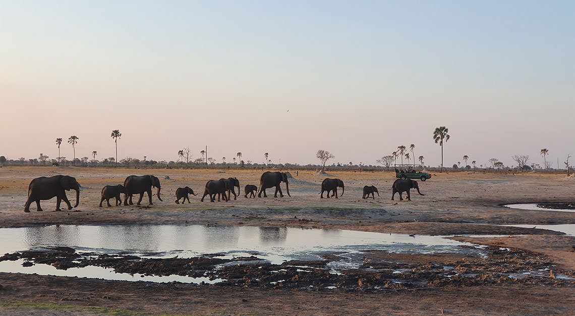 Africa-Wilderness-Safaris-Zimbabwe