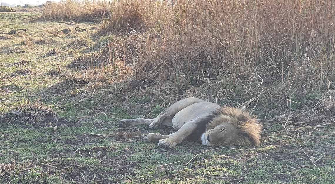 Jao Camp, Botswana, Wilderness Safaris