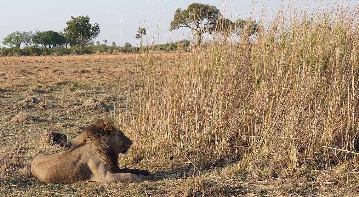 Jao Camp, Botswana, Wilderness Safaris