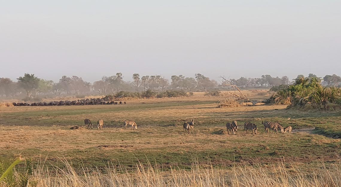 Jao Camp, Botswana, Wilderness Safaris