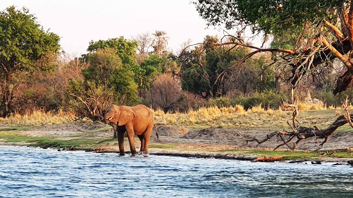 Toka Leya Camp, Zambia, Wilderness Safaris