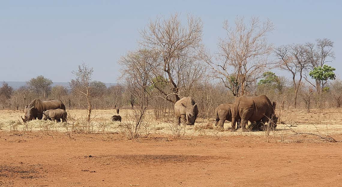 Mosi-O-Tunya National Park, Zambia