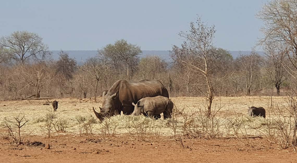 Mosi-O-Tunya National Park, Zambia