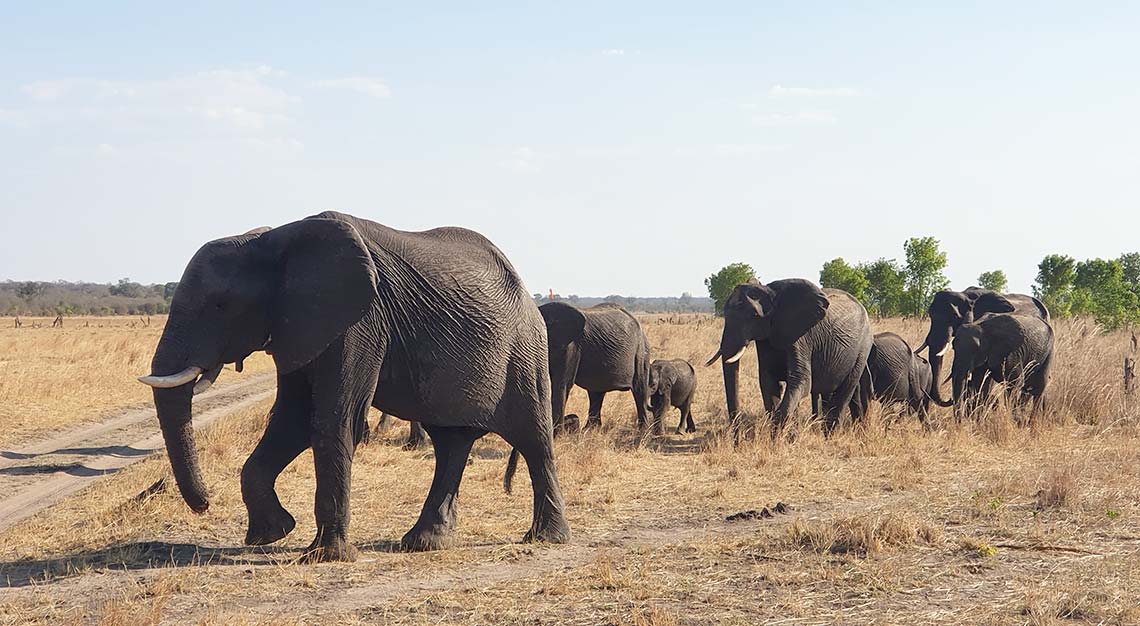 Hwange National Park, Zimbabwe