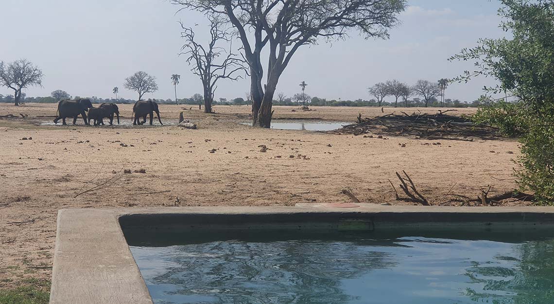 Linkwasha Camp, Zimbabwe