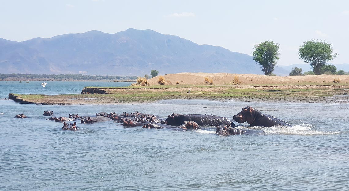 Rukomechi Camp, Zimbabwe