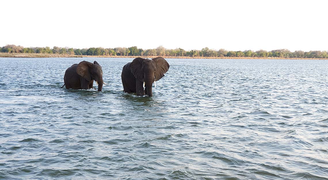 Rukomechi Camp, Zimbabwe