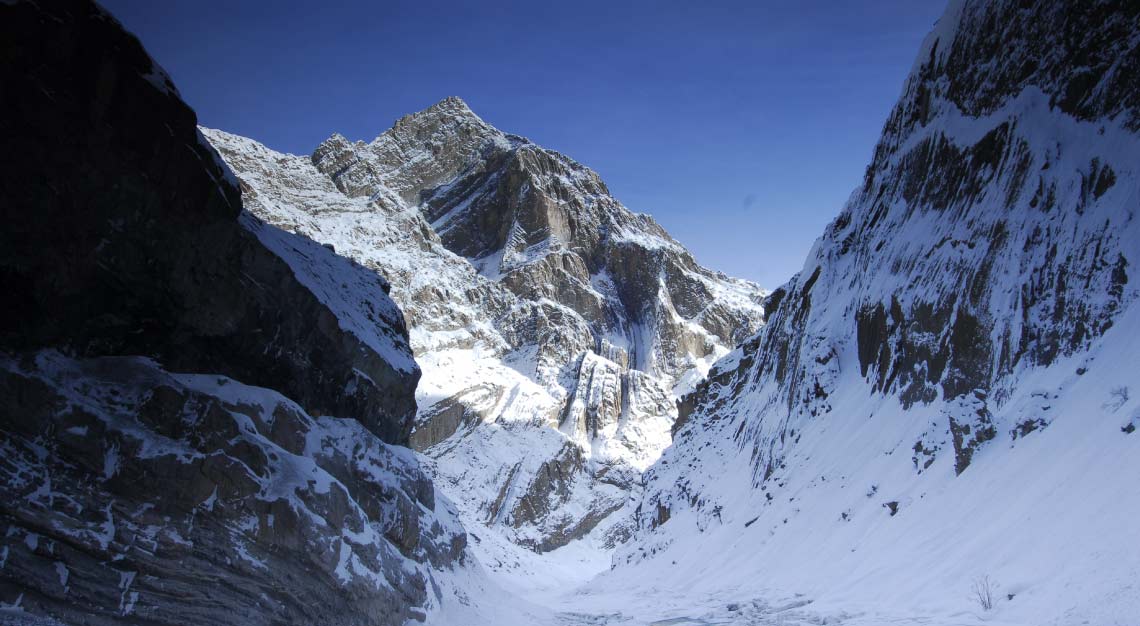 &Beyond snow leopard in India