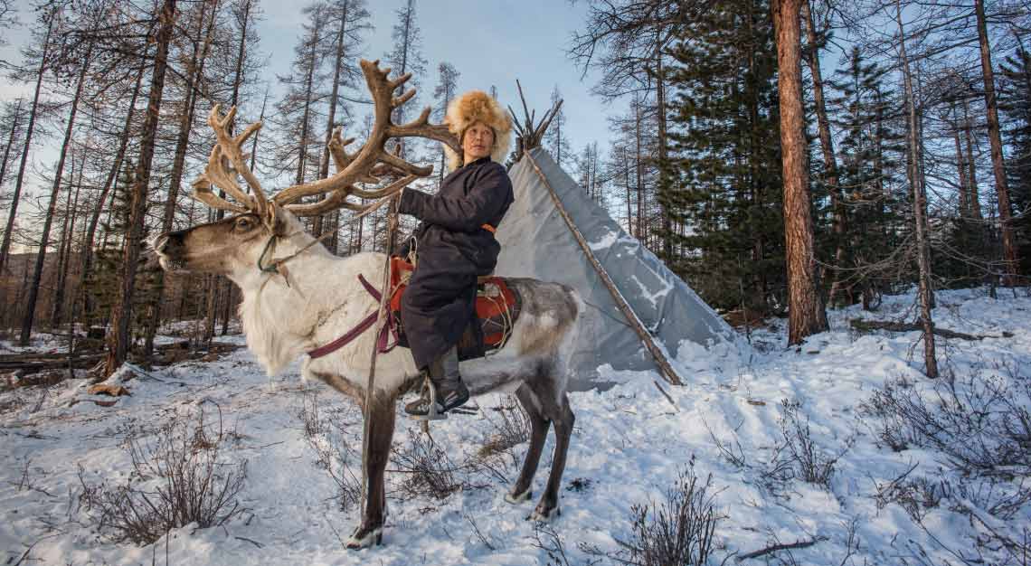 Mongolia Reindeer Tsaatan