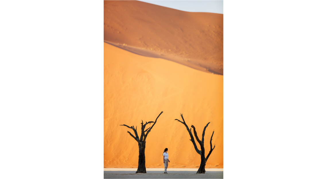 Camelthorn-trees-and-dunes-in-Deadvlei-in-Namibia