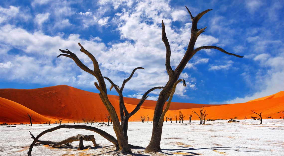 Dead-Camelthorn-Trees-in-Deadvlei