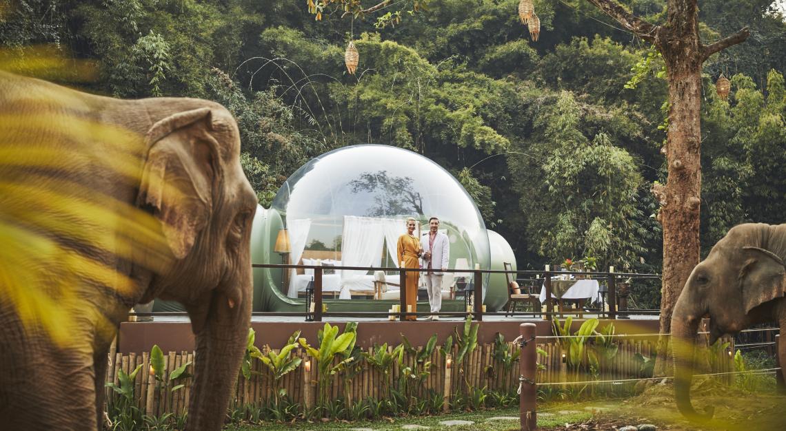 Anantara Golden Triangle Elephant Camp & Resort_Jungle Bubble