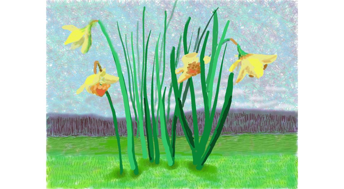 David Hockney