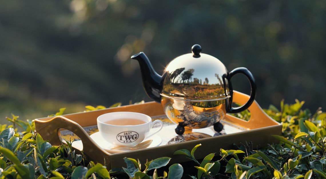 TWG TEa Darjeeling