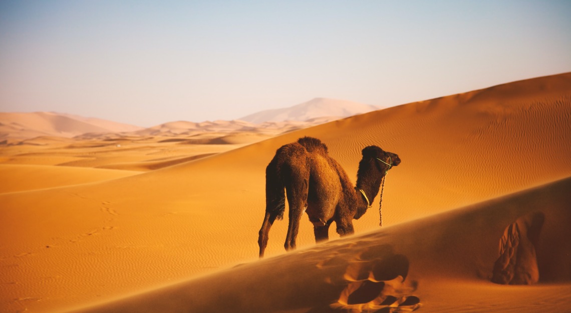 erg chebbi dunes