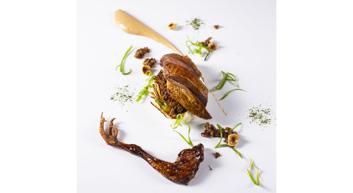 Aged bresse pigeon