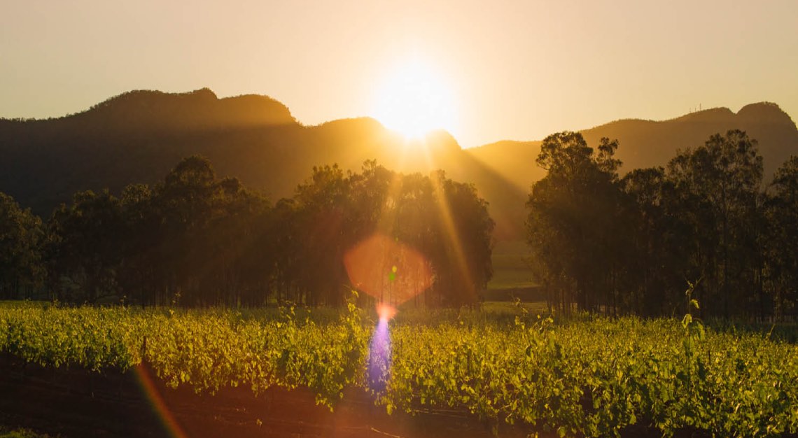 hunter valley tyrrell's